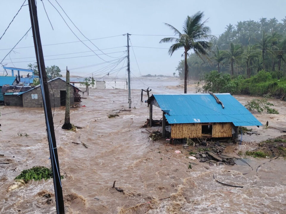helfende hände - Hochwasser umgibt Häuser mit blauen Dächern in einer ländlichen Gegend und überflutet Straßen und Vegetation. Im Bild sind Palmen und Stromleitungen zu sehen, im Hintergrund sind heftige Regenfälle und bewölkter Himmel zu erkennen. helfende hände ggmbh hamburg